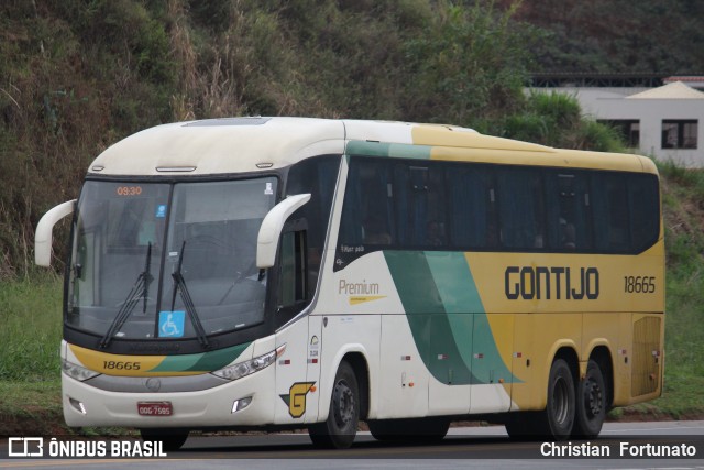 Empresa Gontijo de Transportes 18665 na cidade de Muriaé, Minas Gerais, Brasil, por Christian  Fortunato. Número da foto: #13256311.