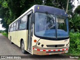 Autobuses sin identificación - Costa Rica 00 na cidade de Guápiles, Pococí, Limón, Costa Rica, por Yliand Sojo. Número da foto: #13257417.