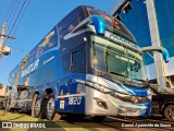 Pakatur 1820 na cidade de Ribeirão Preto, São Paulo, Brasil, por Daniel Aparecido de Souza. Número da foto: #13256406.