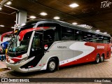 Viação Serro 46124 na cidade de Belo Horizonte, Minas Gerais, Brasil, por César Ônibus. Número da foto: #13257855.
