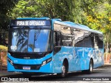 FAOL - Friburgo Auto Ônibus 576 na cidade de Nova Friburgo, Rio de Janeiro, Brasil, por Pedro Henrique Sudoh. Número da foto: #13256390.