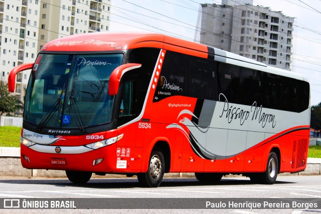 Empresa de Ônibus Pássaro Marron 5934 na cidade de São José dos Campos, São Paulo, Brasil, por Paulo Henrique Pereira Borges. Número da foto: #13260221.