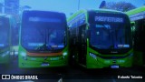 Alfa Rodobus > CooperAlfa 8 6602 na cidade de São Paulo, São Paulo, Brasil, por Roberto Teixeira. Número da foto: #13259709.