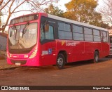 Luwasa 5204 na cidade de Severínia, São Paulo, Brasil, por Miguel Castro. Número da foto: #13259902.