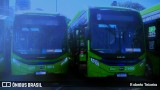 Transcooper > Norte Buss 1 6974 na cidade de São Paulo, São Paulo, Brasil, por Roberto Teixeira. Número da foto: #13259704.