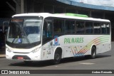 Expresso Palmares 12 na cidade de Porto Alegre, Rio Grande do Sul, Brasil, por Andreo Bernardo. Número da foto: #13259564.