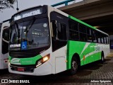 Viação Elite RJ 176.032 na cidade de Volta Redonda, Rio de Janeiro, Brasil, por Juliano Sgrigneiro. Número da foto: #13260876.