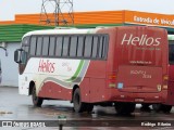 Helios Coletivos e Cargas 334 na cidade de Não-Me-Toque, Rio Grande do Sul, Brasil, por Rodrigo  Ribeiro. Número da foto: #13188868.