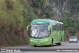 Pássaro Verde 16909 na cidade de São Geraldo, Minas Gerais, Brasil, por Julio Cesar Euzebio Alves. Número da foto: #13189342.