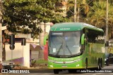 Pássaro Verde 16902 na cidade de Viçosa, Minas Gerais, Brasil, por Julio Cesar Euzebio Alves. Número da foto: #13189352.