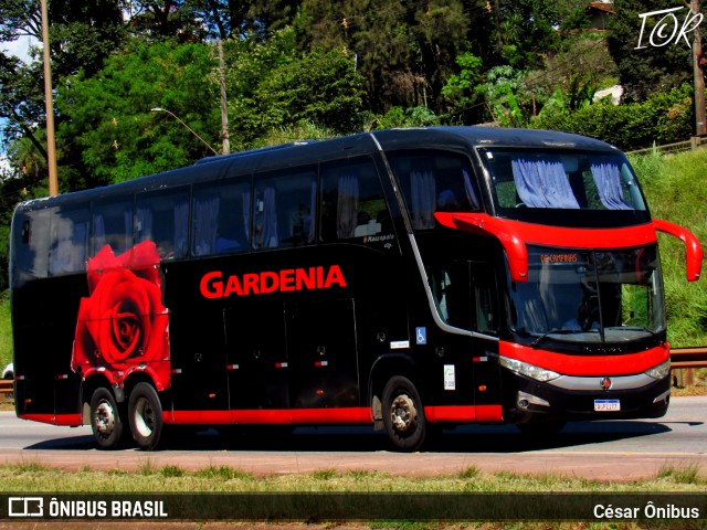 Expresso Gardenia 4100 na cidade de Betim, Minas Gerais, Brasil, por César Ônibus. Número da foto: #13262712.