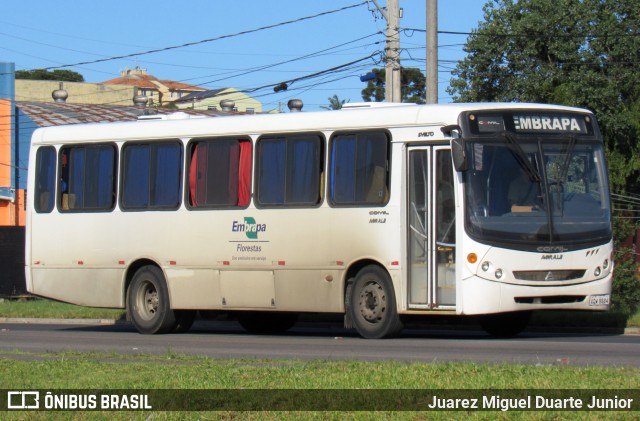 Embrapa  na cidade de Colombo, Paraná, Brasil, por Juarez Miguel Duarte Junior. Número da foto: #13262462.