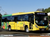 TCGL - Transportes Coletivos Grande Londrina 3161 na cidade de Londrina, Paraná, Brasil, por Pedroka Ternoski. Número da foto: #13263291.