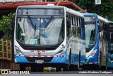 Buses Guadalupe 70 na cidade de San José, San José, Costa Rica, por Andrés Martínez Rodríguez. Número da foto: #13262476.