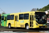TCGL - Transportes Coletivos Grande Londrina 3023 na cidade de Londrina, Paraná, Brasil, por Pedroka Ternoski. Número da foto: #13263265.