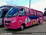 Transportes Capellini 31246 na cidade de Hortolândia, São Paulo, Brasil, por José Eduardo Garcia Pontual. Número da foto: #13262582.