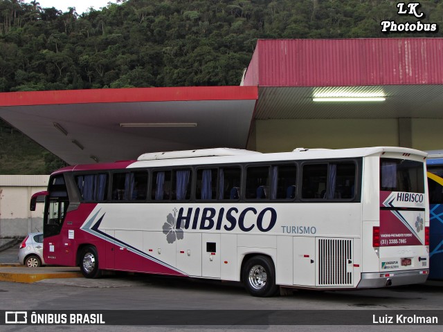 Hibisco Turismo 900 na cidade de Juiz de Fora, Minas Gerais, Brasil, por Luiz Krolman. Número da foto: #13264149.