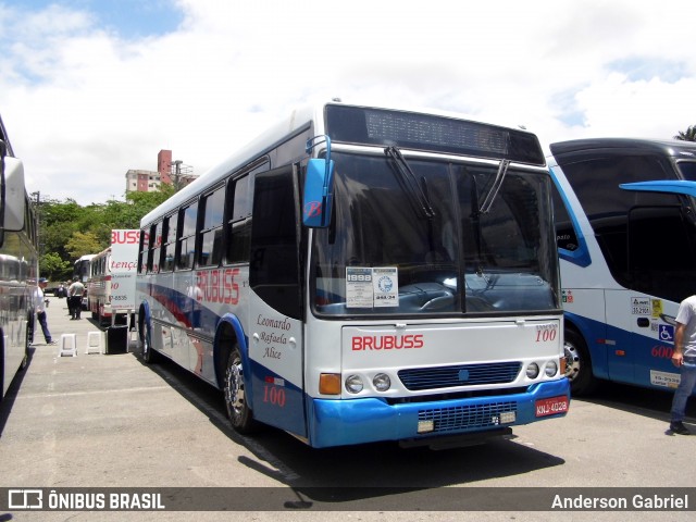 Brubuss Transportes 100 na cidade de Barueri, São Paulo, Brasil, por Anderson Gabriel. Número da foto: #13263948.