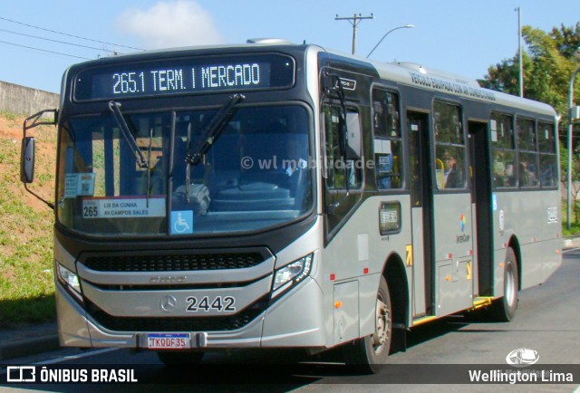 Expresso CampiBus 2442 na cidade de Campinas, São Paulo, Brasil, por Wellington Lima. Número da foto: #13265975.