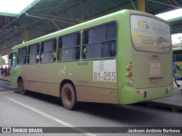 TransPremium 81-255 na cidade de São Luís, Maranhão, Brasil, por Jackson Antônio Barbosa. Número da foto: #13264469.