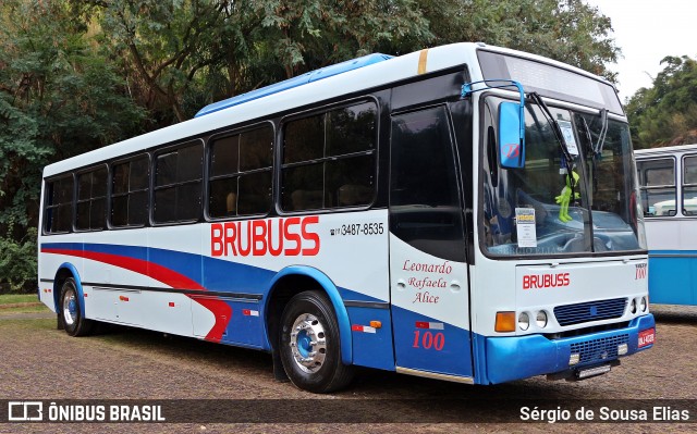Brubuss Transportes 100 na cidade de Campinas, São Paulo, Brasil, por Sérgio de Sousa Elias. Número da foto: #13265269.