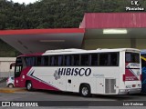 Hibisco Turismo 900 na cidade de Juiz de Fora, Minas Gerais, Brasil, por Luiz Krolman. Número da foto: #13264149.