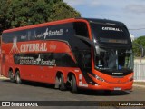 Catedral Turismo 24503 na cidade de Patos de Minas, Minas Gerais, Brasil, por Hariel Bernades. Número da foto: #13264884.