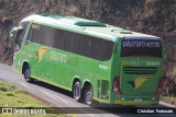 Pássaro Verde 16901 na cidade de Coimbra, Minas Gerais, Brasil, por Christian  Fortunato. Número da foto: #13263632.