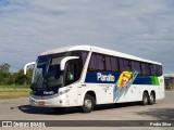 Planalto Transportes 1653 na cidade de Porto Alegre, Rio Grande do Sul, Brasil, por Pedro Silva. Número da foto: #13266056.
