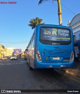 Rosa Turismo 23308 na cidade de Tatuí, São Paulo, Brasil, por Breno Bueno. Número da foto: #:id.