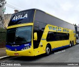 Viação Ávila 2021 na cidade de Aparecida, São Paulo, Brasil, por Leandro Leal. Número da foto: #13263458.
