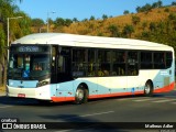 Auto Omnibus Floramar 02 na cidade de Belo Horizonte, Minas Gerais, Brasil, por Matheus Adler. Número da foto: #13264818.