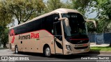 Primera Plus 6879 na cidade de Gustavo A. Madero, Ciudad de México, México, por Omar Ramírez Thor2102. Número da foto: #13264546.