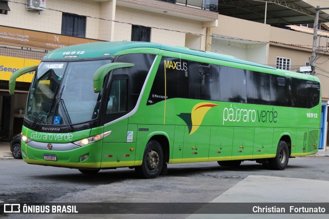 Pássaro Verde 16912 na cidade de Coimbra, Minas Gerais, Brasil, por Christian  Fortunato. Número da foto: #13189807.
