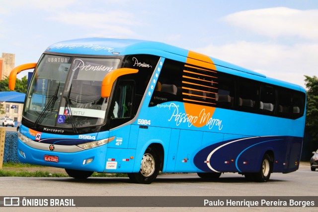 Empresa de Ônibus Pássaro Marron 5984 na cidade de São Paulo, São Paulo, Brasil, por Paulo Henrique Pereira Borges. Número da foto: #13191053.