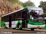 Padova Coletivos 3533 na cidade de Campinas, São Paulo, Brasil, por Hipólito Rodrigues. Número da foto: #13190308.