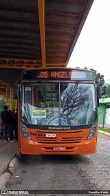 VCG - Viação Campos Gerais 1199 na cidade de Ponta Grossa, Paraná, Brasil, por BrunyBus Prado. Número da foto: #13191361.