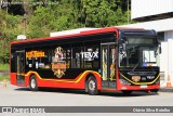 Prefeitura Municipal de Petrópolis TESTE na cidade de Petrópolis, Rio de Janeiro, Brasil, por Otávio Silva Botelho. Número da foto: #13190389.
