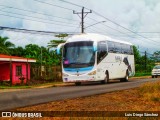 Marvi SJB 15081 na cidade de Puerto Viejo, Sarapiquí, Heredia, Costa Rica, por Luis Diego Sánchez. Número da foto: #13189878.