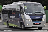 Jumbo Turismo 217 na cidade de São Paulo, São Paulo, Brasil, por Bruno Aparecido Machado. Número da foto: #13191137.