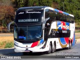 Arte Transportes e Turismo 29000 na cidade de Montes Claros, Minas Gerais, Brasil, por Andrew Campos. Número da foto: #13191055.