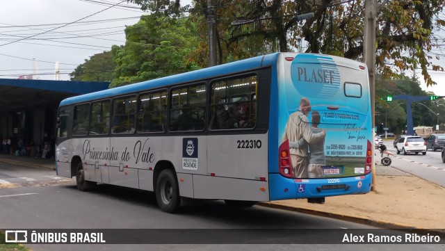 Princesinha do Vale 222310 na cidade de Resende, Rio de Janeiro, Brasil, por Alex Ramos Ribeiro. Número da foto: #13192609.