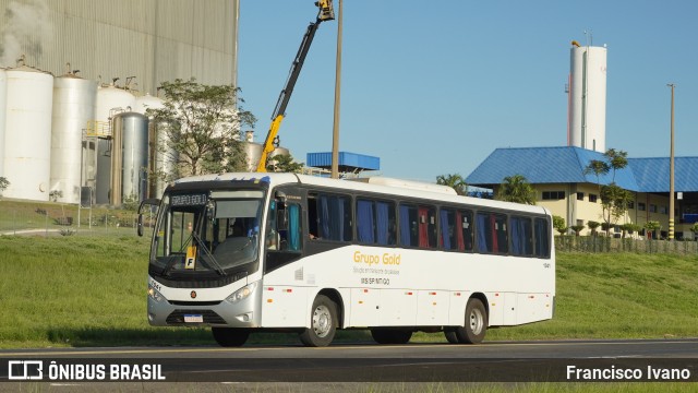 Grupo Gold Fretamento 1041 na cidade de Lins, São Paulo, Brasil, por Francisco Ivano. Número da foto: #13192002.
