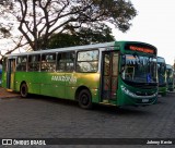 Amazônia Inter 1019 na cidade de Planaltina, Distrito Federal, Brasil, por Johnny Kevin. Número da foto: #13191734.