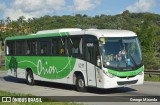 Turismo e Fretamento Orion Transportes 4211 na cidade de Santa Isabel, São Paulo, Brasil, por George Miranda. Número da foto: #13193373.