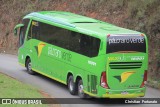 Pássaro Verde 16901 na cidade de Coimbra, Minas Gerais, Brasil, por Christian  Fortunato. Número da foto: #13191640.
