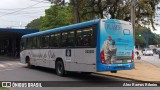 Princesinha do Vale 222310 na cidade de Resende, Rio de Janeiro, Brasil, por Alex Ramos Ribeiro. Número da foto: #13192609.