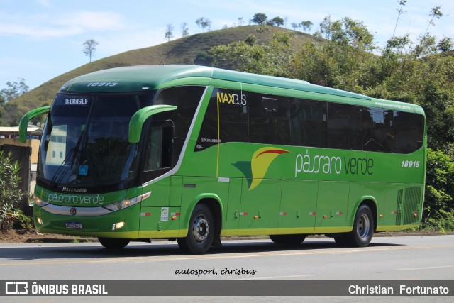 Pássaro Verde 18915 na cidade de Coimbra, Minas Gerais, Brasil, por Christian  Fortunato. Número da foto: #13195040.