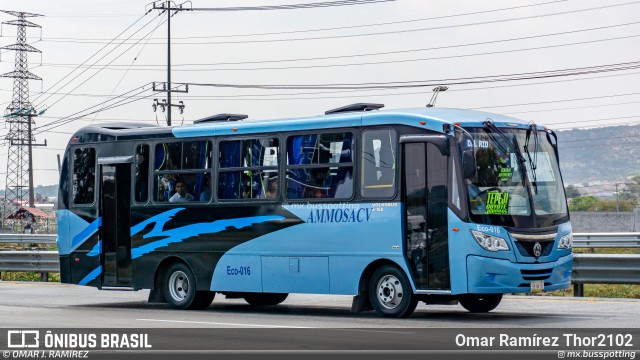 AMMOSA - Autotransportes México Melchor Ocampo 016 na cidade de Tepotzotlán, Estado de México, México, por Omar Ramírez Thor2102. Número da foto: #13195129.