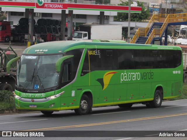 Pássaro Verde 16912 na cidade de João Monlevade, Minas Gerais, Brasil, por Adrian Sena. Número da foto: #13194236.